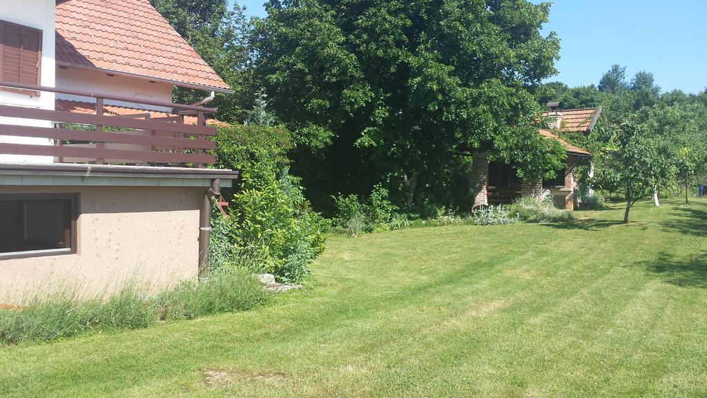 House Tudic Lejlighed Drežnik Grad Værelse billede
