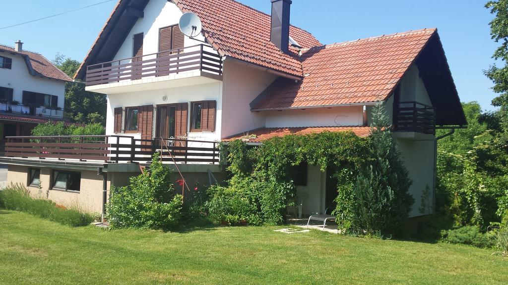 House Tudic Lejlighed Drežnik Grad Værelse billede
