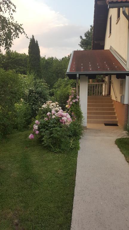 House Tudic Lejlighed Drežnik Grad Eksteriør billede