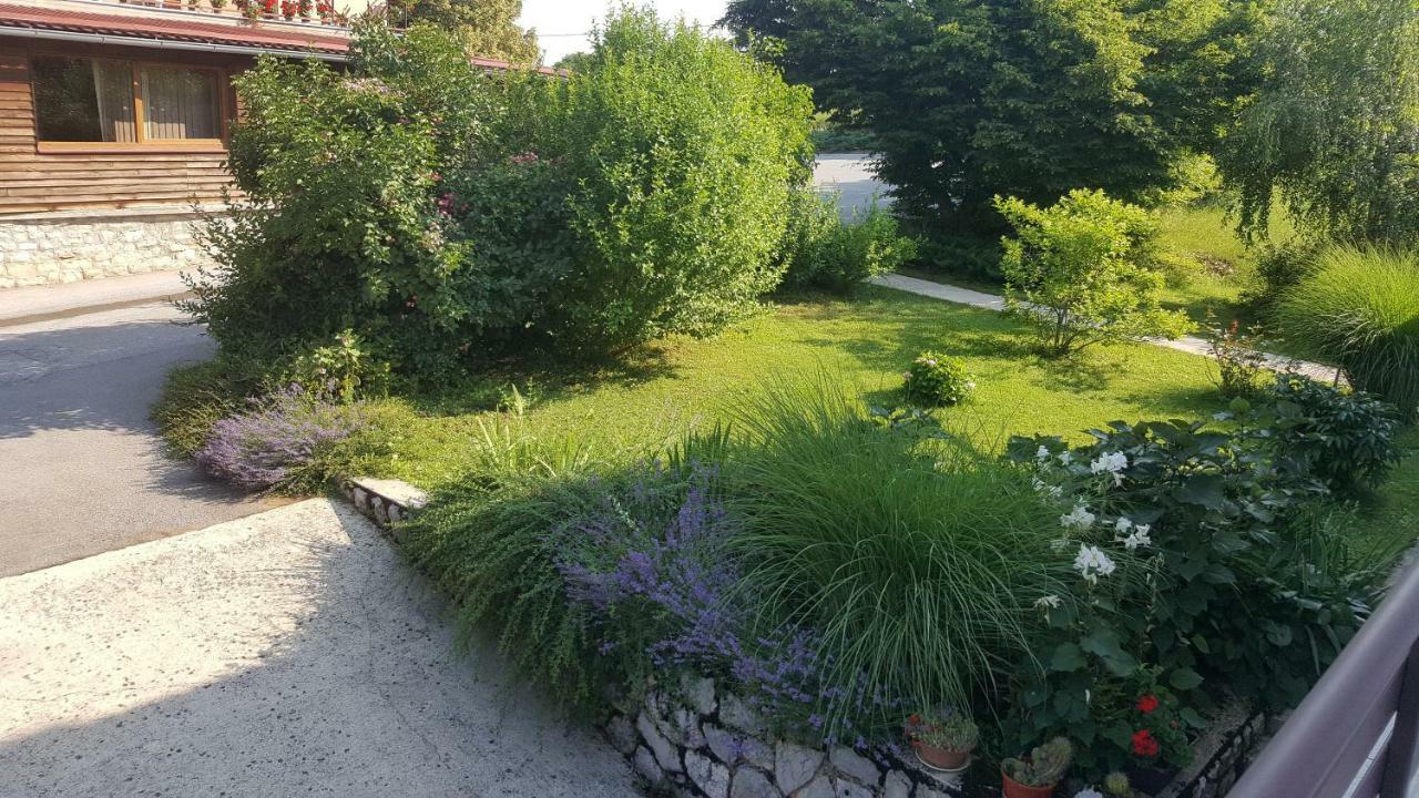 House Tudic Lejlighed Drežnik Grad Eksteriør billede